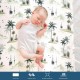 GRSSDER Stretch Ultra Soft Jersey Knit Fitted Crib Sheets Set 2 Pack, Universal Fit All Standard Crib Mattress Pads Safe and Snug, Crib Fitted Sheet with Deep Pocket, Original Neutral Design for Baby